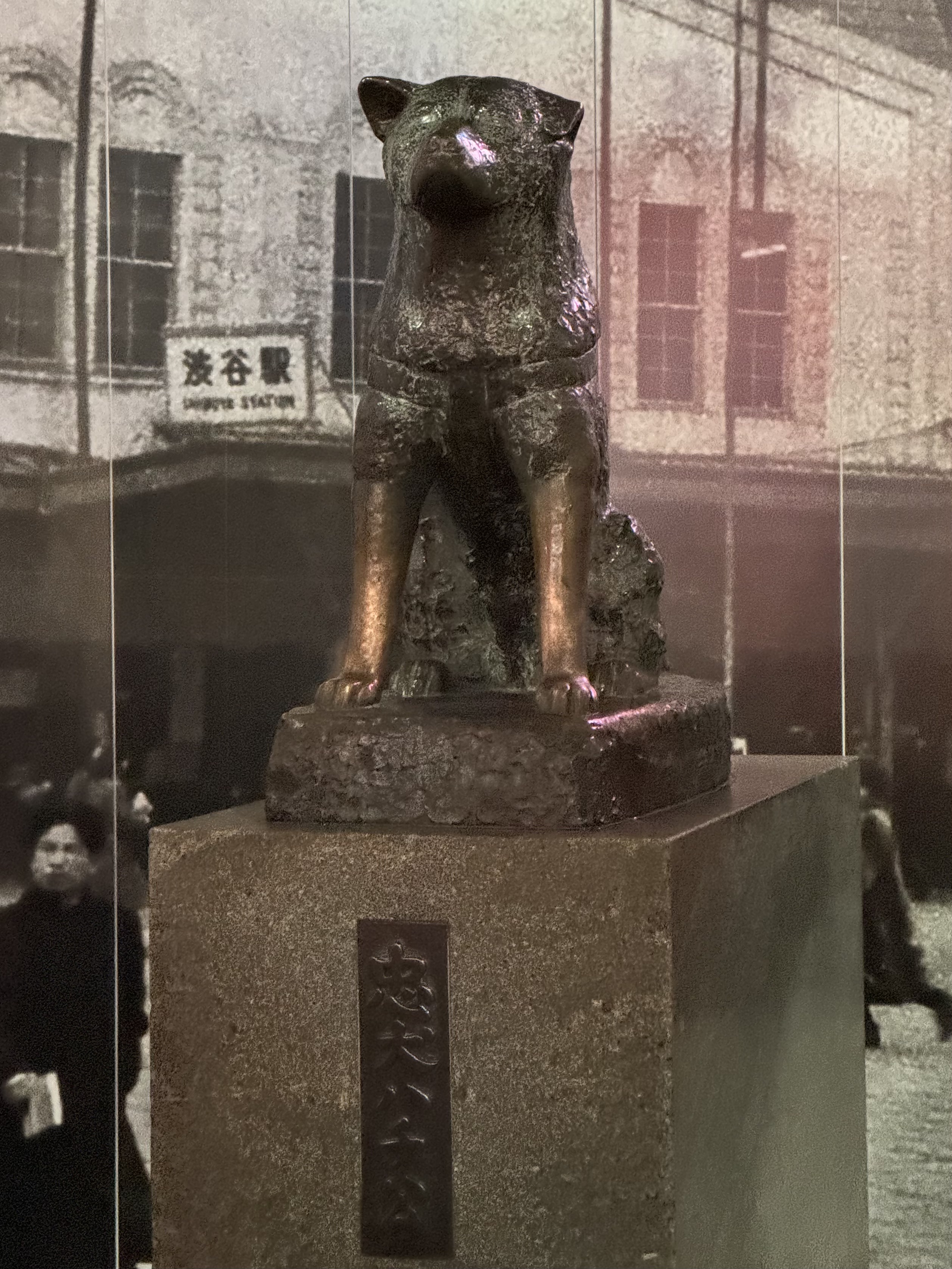 img_20250510_04.jp