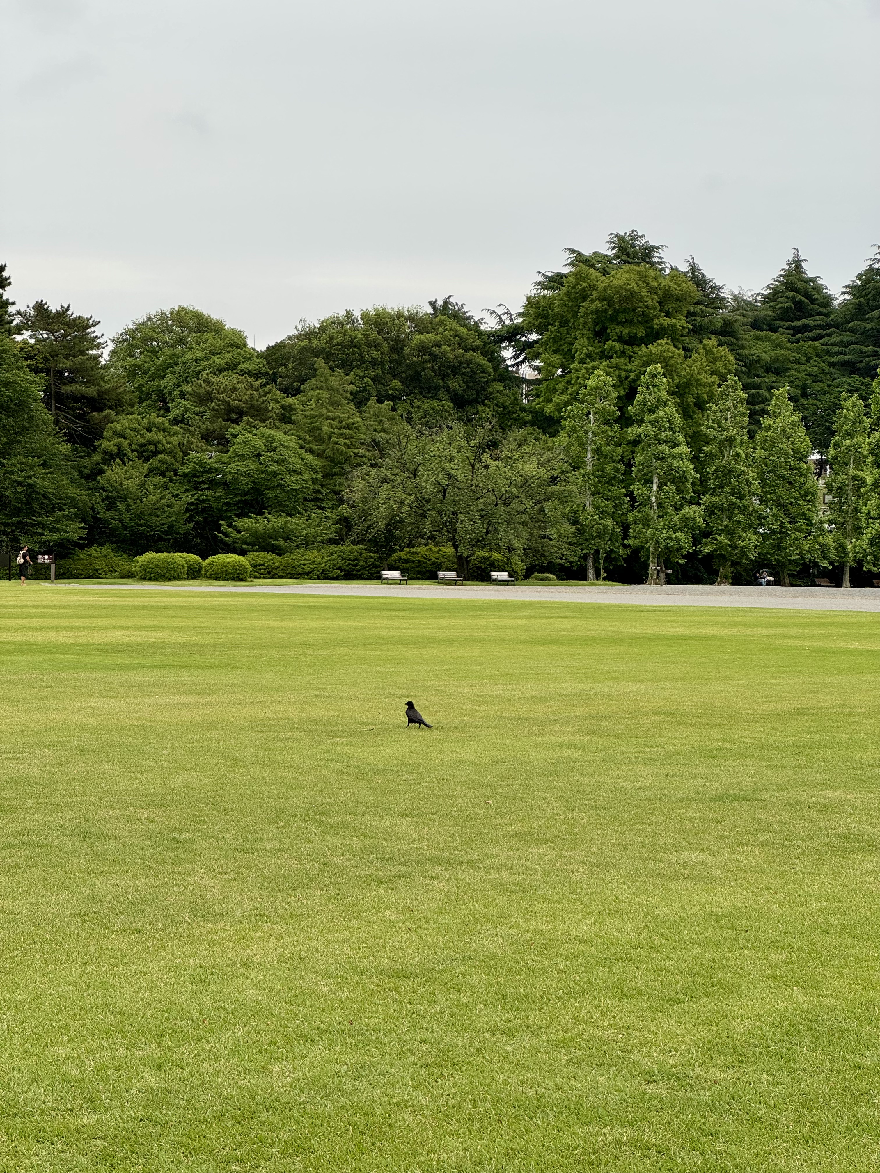 img_20250524_09