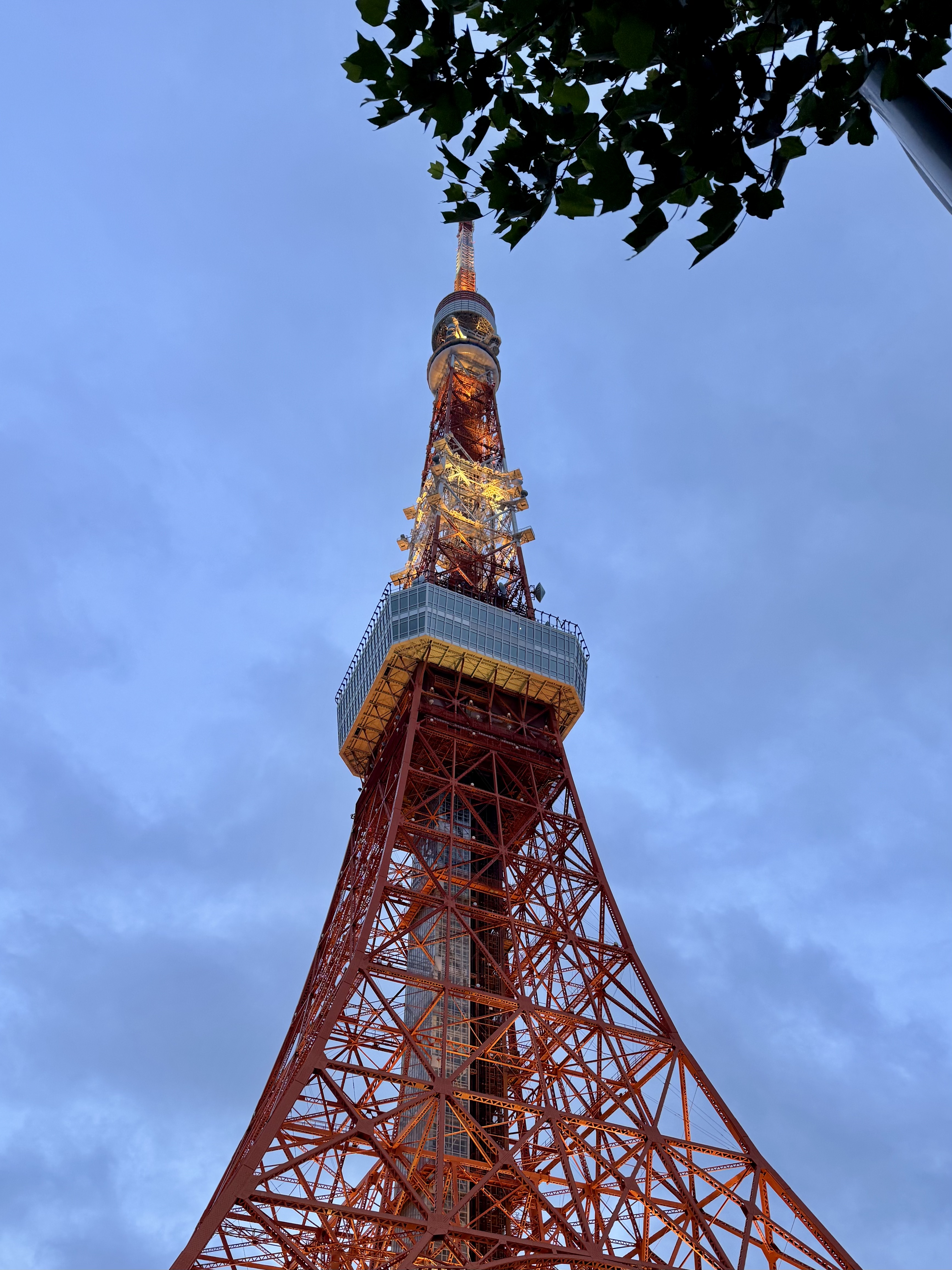 国立新美术馆和东京塔