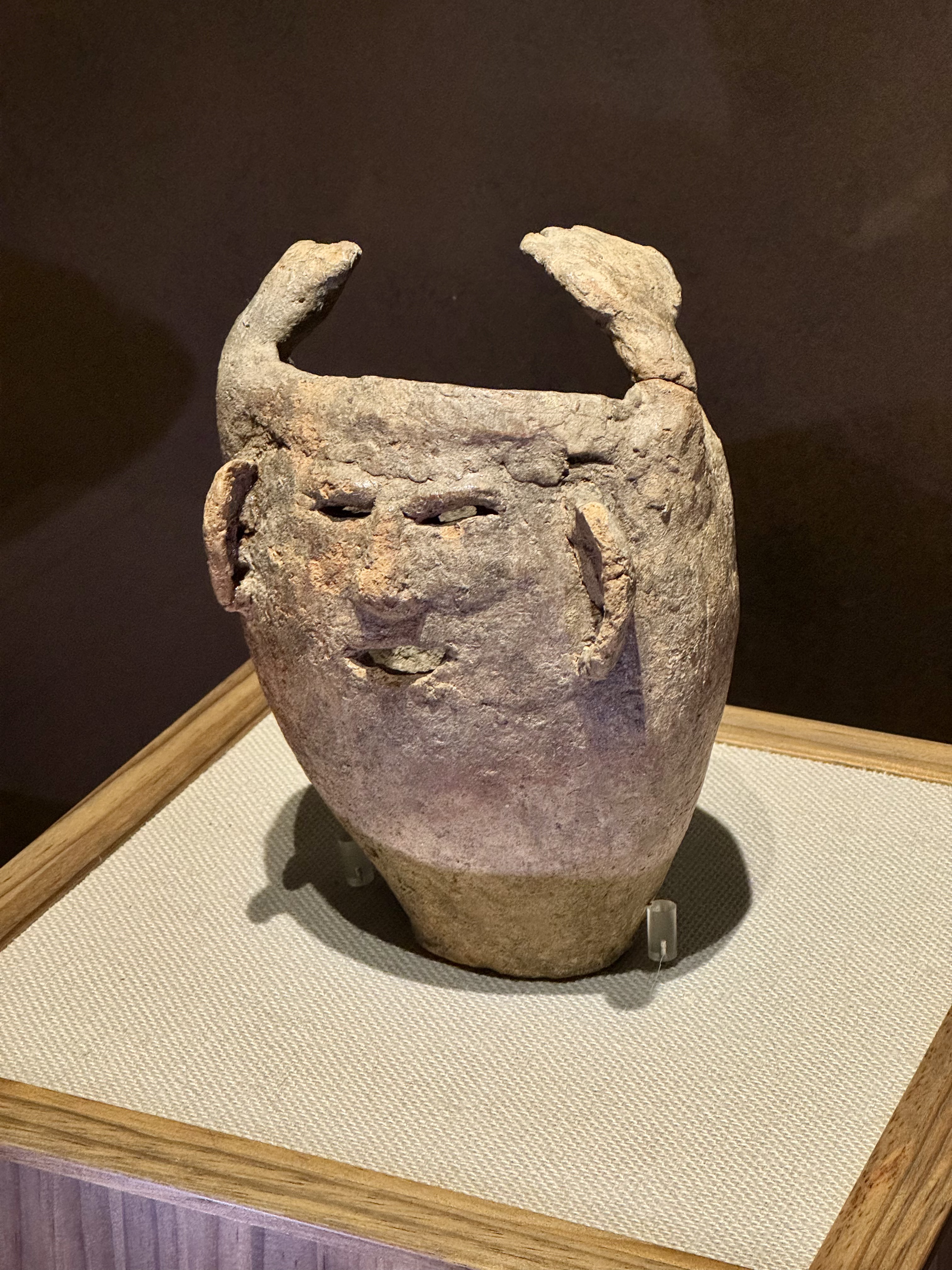 国学院大学博物馆和忠犬八公墓